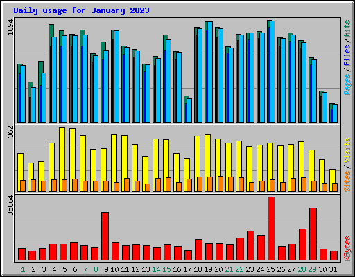 Daily usage for January 2023