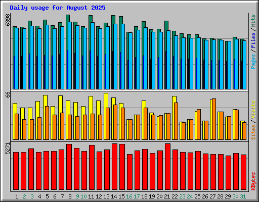 Daily usage for August 2025