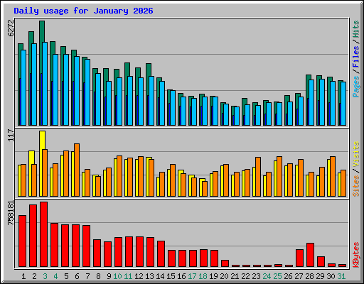 Daily usage for January 2026