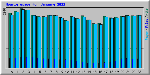 Hourly usage for January 2022
