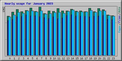 Hourly usage for January 2023