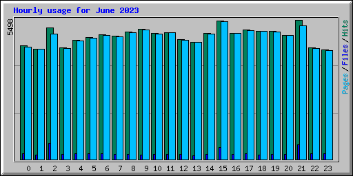 Hourly usage for June 2023
