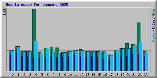 Hourly usage for January 2025