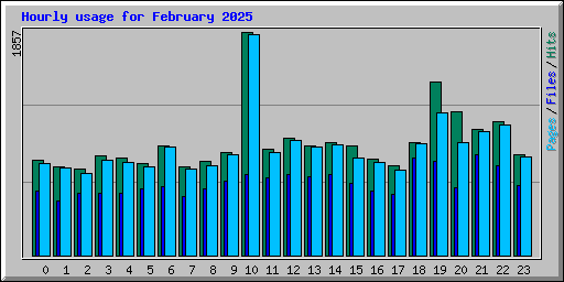 Hourly usage for February 2025