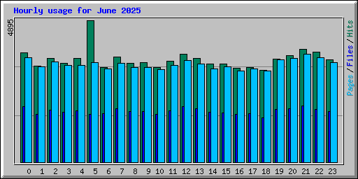 Hourly usage for June 2025