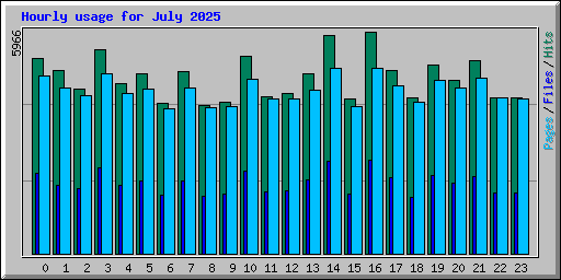 Hourly usage for July 2025