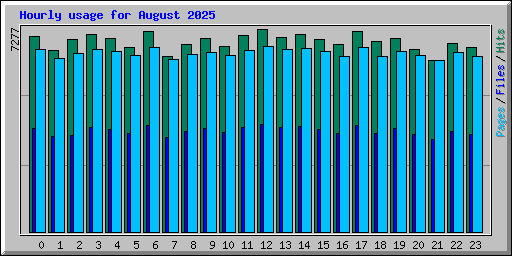 Hourly usage for August 2025