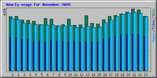 Hourly usage for November 2025