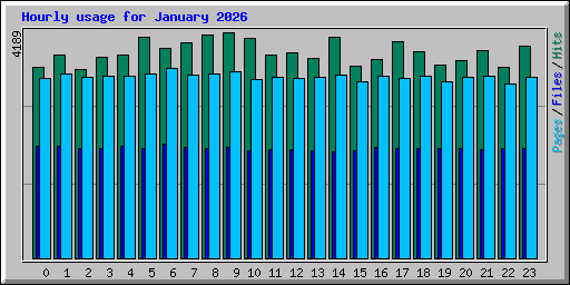 Hourly usage for January 2026